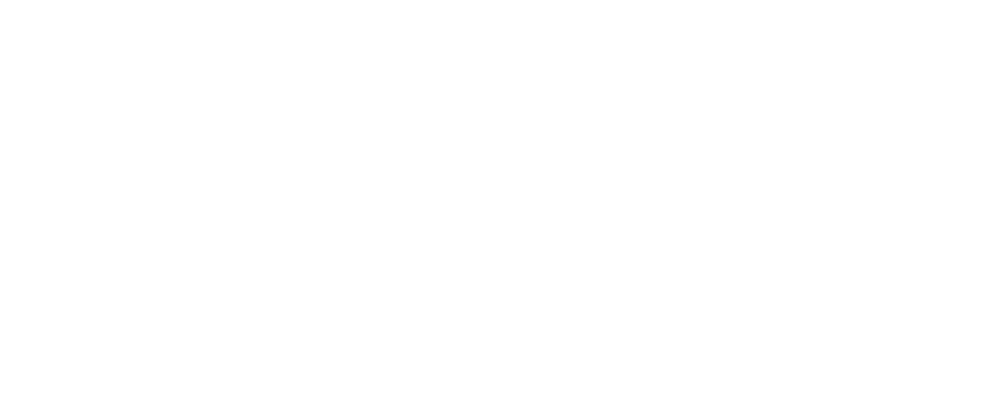 e-ziedi.lv