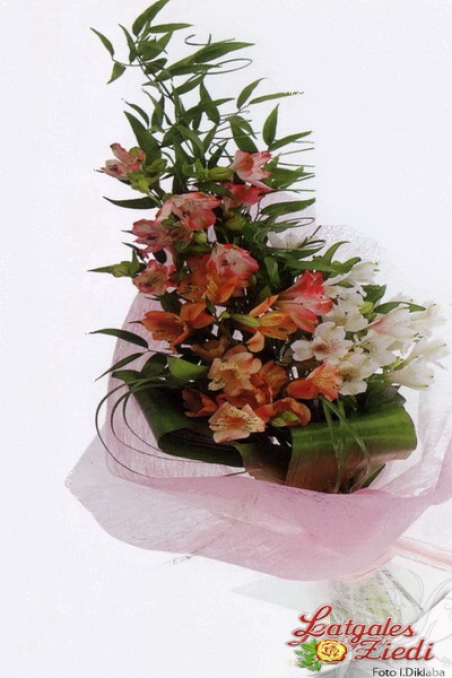 Apsveikuma pušķis 121