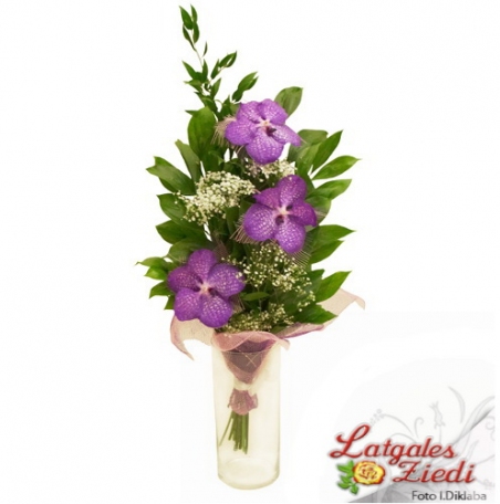 Apsveikuma pušķis 037