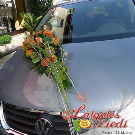 Automašīnas noformēšana 018