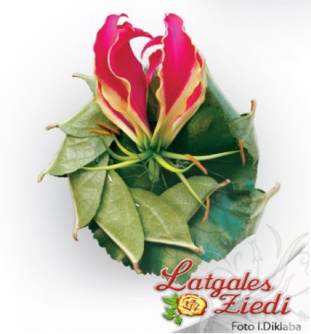 Бутоньерки из цветов 004