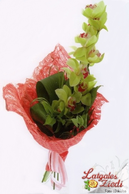 Lietišķais pušķis 009