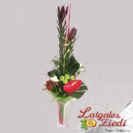 Lietišķais pušķis 013