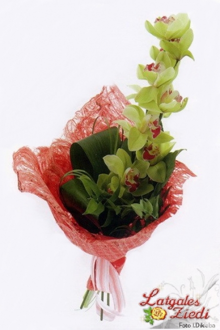 Apsveikuma pušķis 119