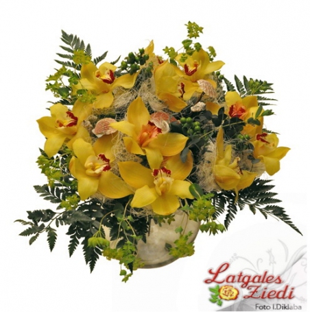 Apsveikuma pušķis 055