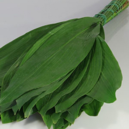 Зелень в оформлении букетов "Aspidistra"